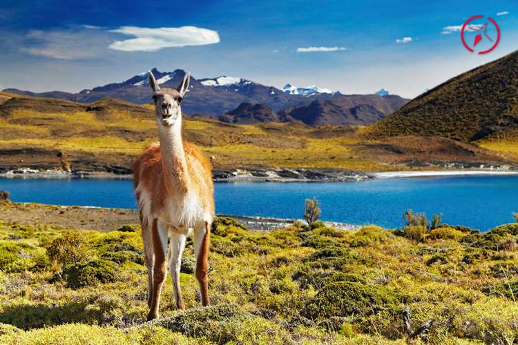 Torres del Paine, Cile