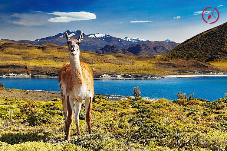 Torres del Paine, Cile