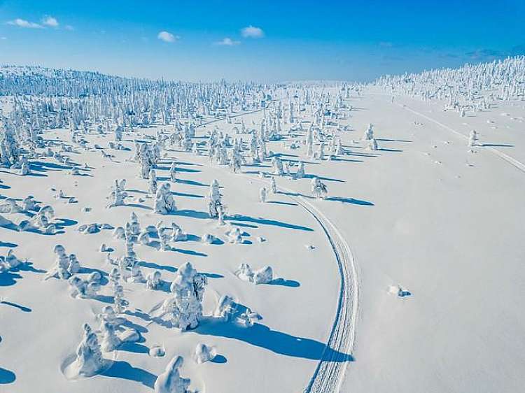 Immacolata in Lapponia: alla ricerca dell'aurora boreale da 1.290 euro