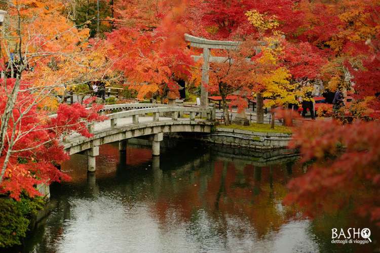  Eikando Temple, Kyoto