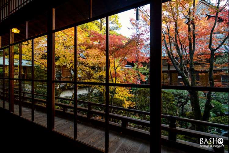 Flora autunnale al Tempio Eikando, Kyoto