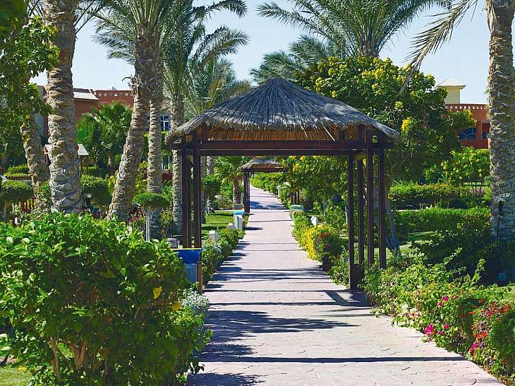 SPECIALE YOGA A SHARM 01 al 08 Dicembre volo da Bologna