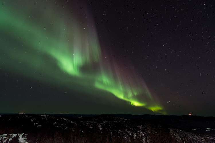 Magico Nord Con Accompagnatore e safari avvistamento Balene (A)