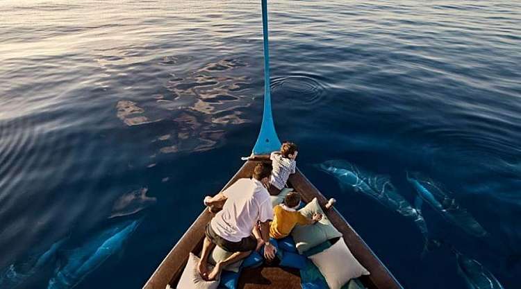Maldive - The Barefoot Eco Hotel - Atollo di Haa inverno/estate 2020