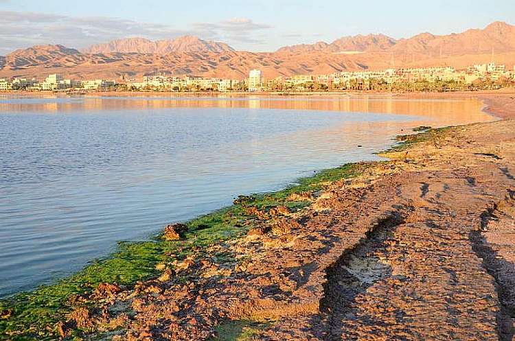 Vacanza in Giordania a gennaio: volo + hotel a partire da 145 euro