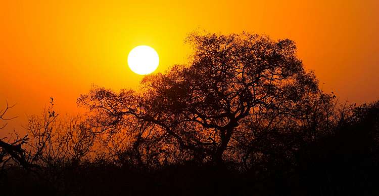 Sudafrica. Safari di gruppo. avventura di 11 giorni 10 notti (A)