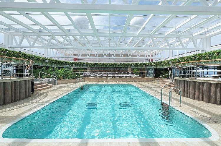 piscina jungle