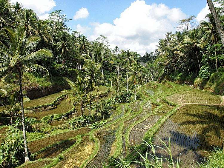 Viaggio combinato Bangkok + Bali 13 giorni e 10 notti in Hotel 4*