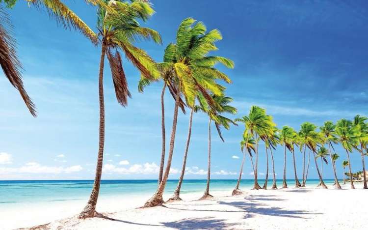 spaigge caraibi