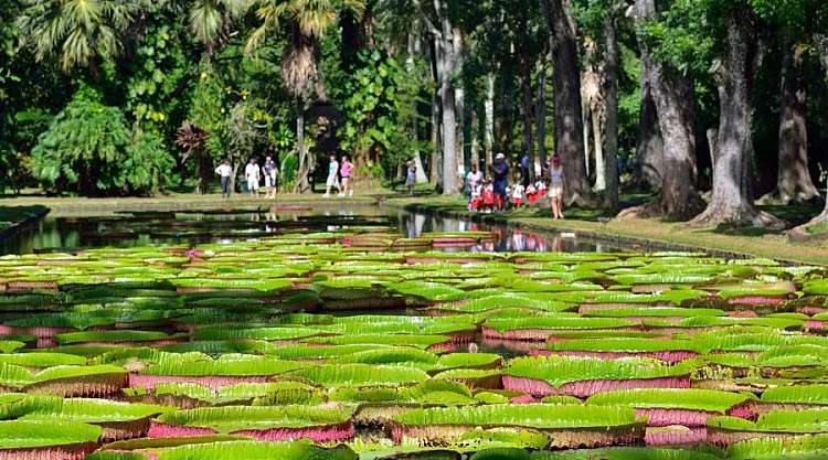 Anniversario? Mauritius Hotel per soli adulti Le Tropical Attitude