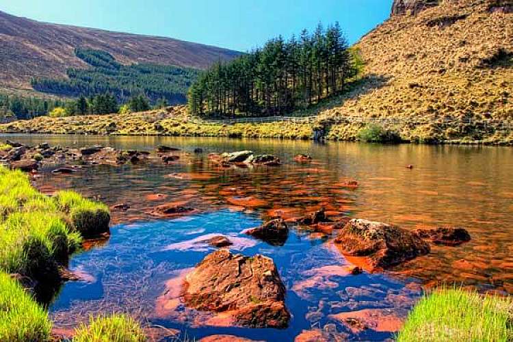 Dingle