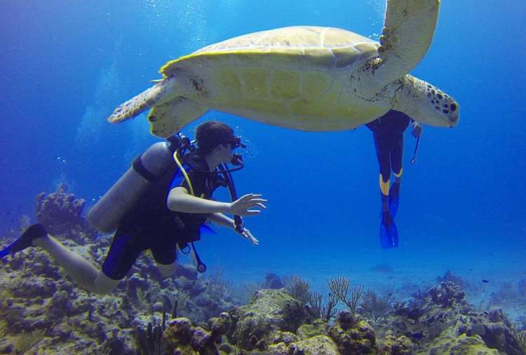 Snorkeling