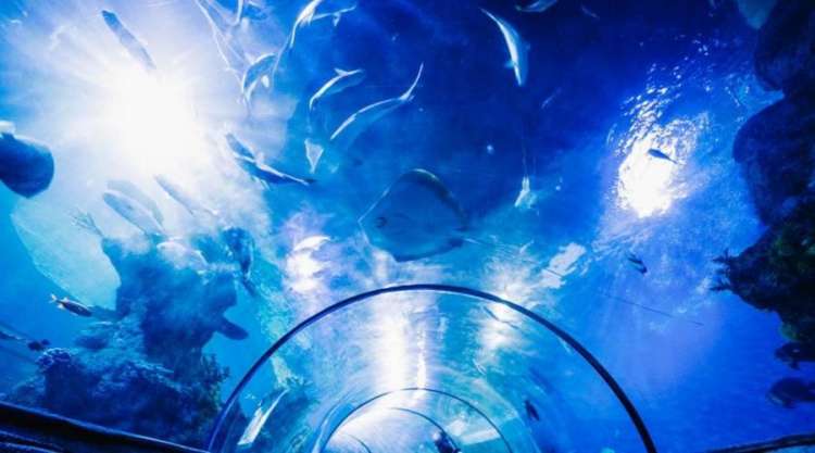 National Acquarium