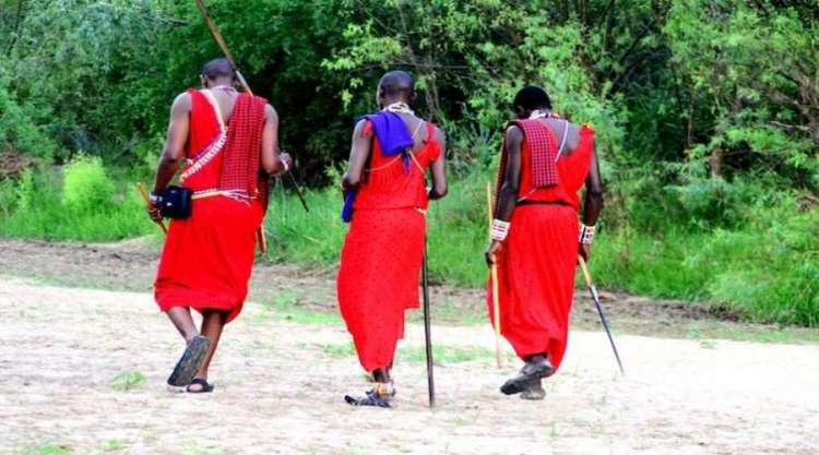 Masai