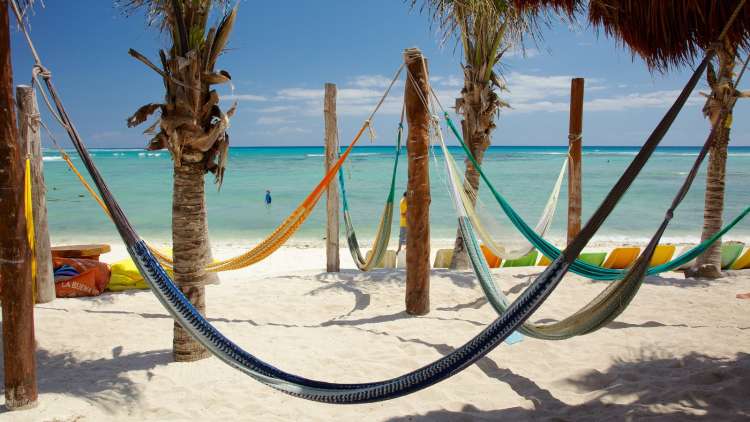 Relax