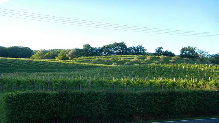 Asolo: weekend speciale nelle colline del prosecco patrimonio UNESCO