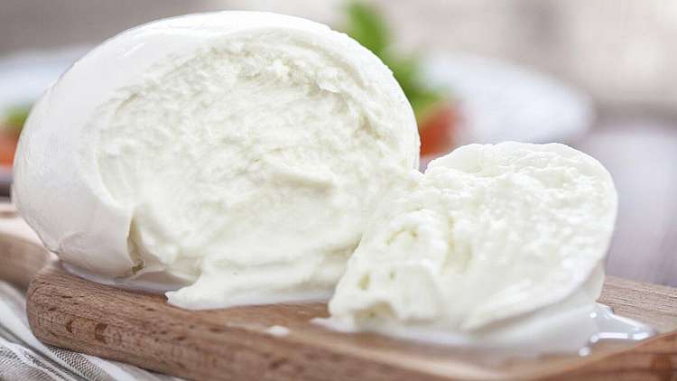 mozzarella