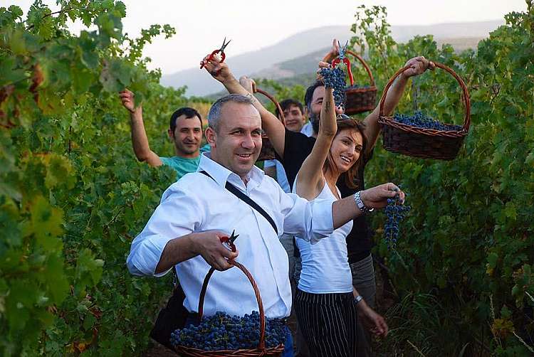 I sapori della Turchia - Tour enogastronomico in Anatolia