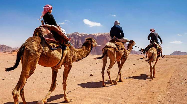 Le meraviglie del deserto