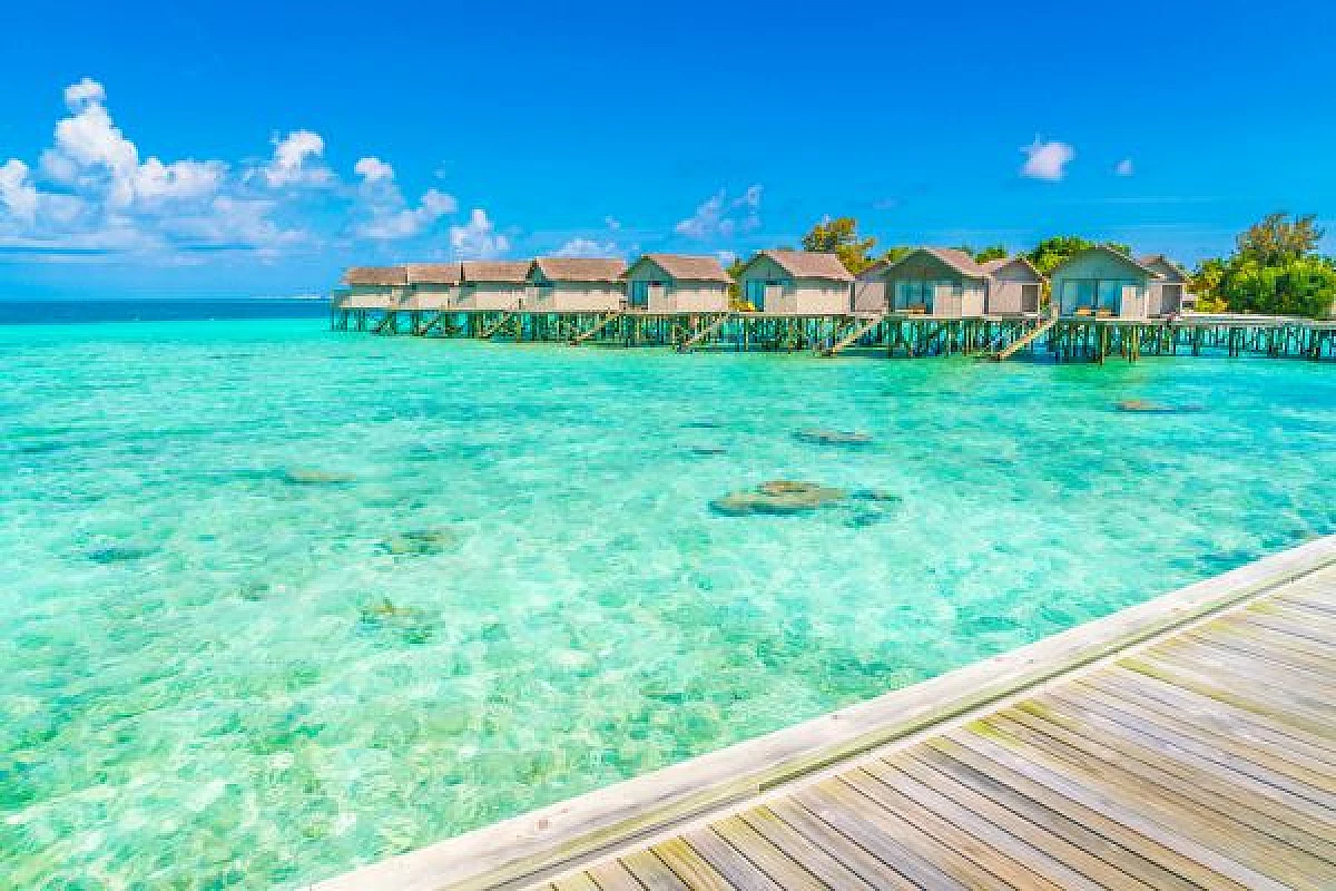 Incredibile offerta per le Maldive a novembre, il tuo volo e soggiorno a soli 1490 euro