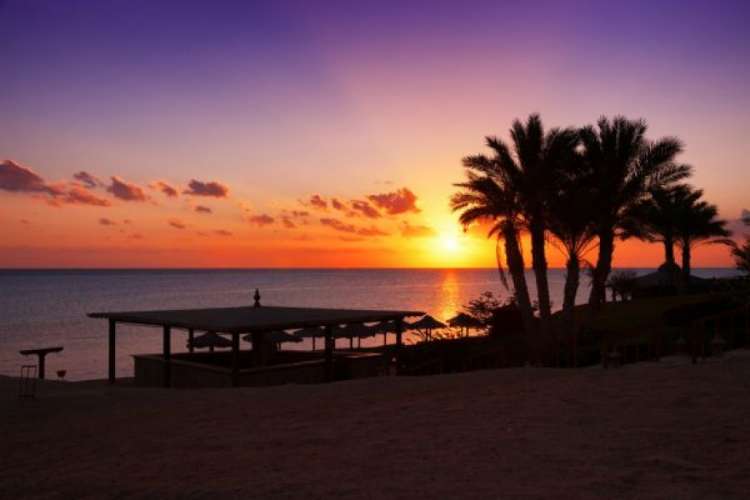 Autunno a Marsa Alam tutto incluso volo e soggiorno di 7 notti a... Autunno a Marsa Alam tutto incluso volo e soggiorno di 7 notti a...