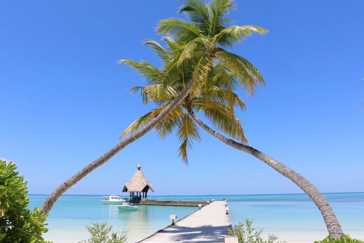 Canareef Resort Maldives, vacanza alle Maldive con sconto fino all'81%
