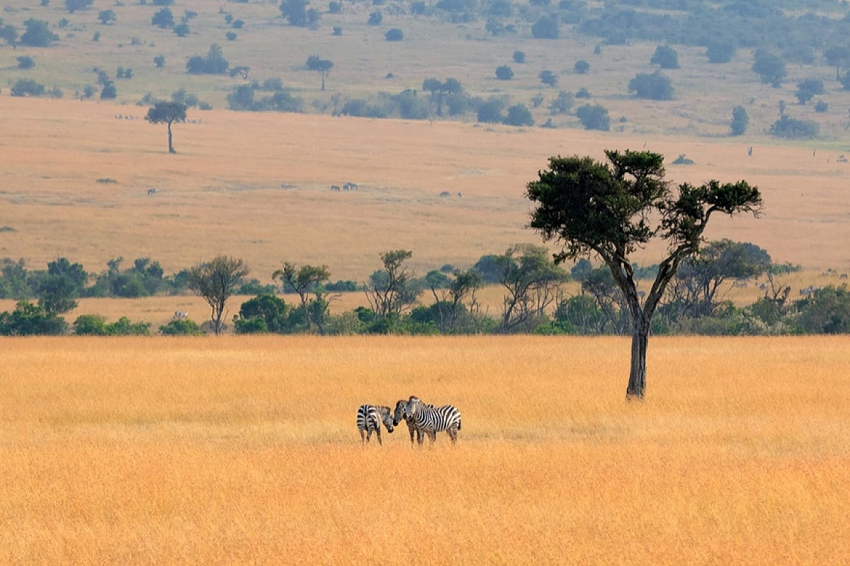 Masai Mara, il Kenya da 2213 euro