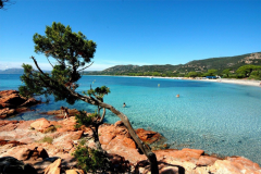 Estate in Corsica da 406 euro