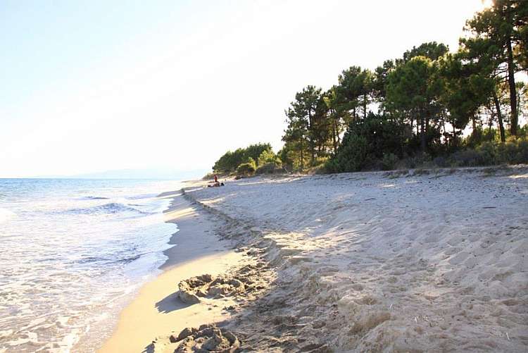 Viaggio in Corsica da soli 273€