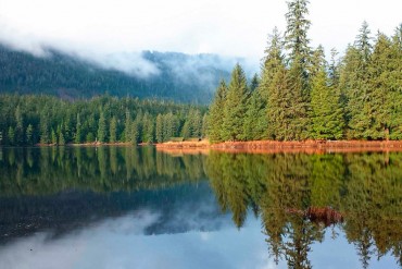Crociera in Alaska da soli 419 euro