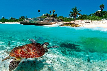 Crociera alla scoperta delle perle del Caribe da 1009 euro