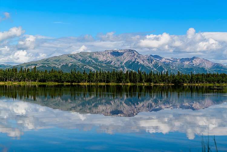 Crociera in Alaska: i ghiacciai dell'Artico ti aspettano nel 2019