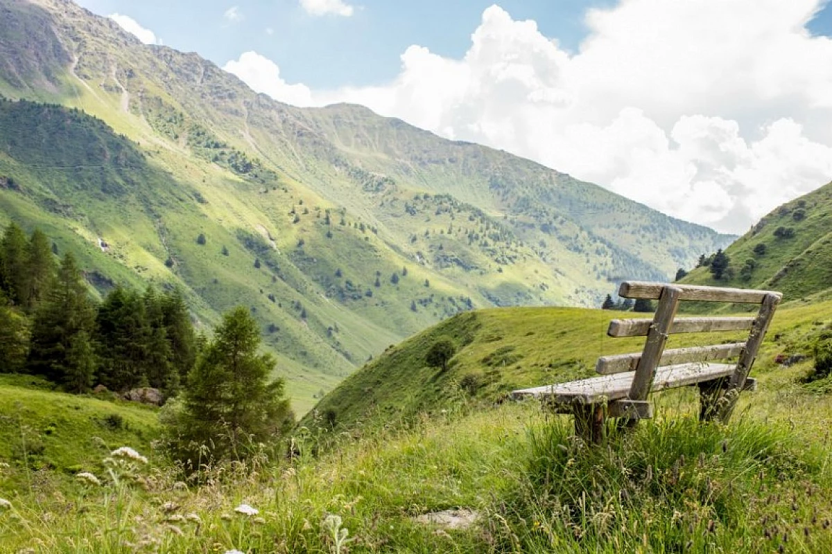 Dalla malga al rifugio: vivi la Valle Camonica tra trekking e gusto!