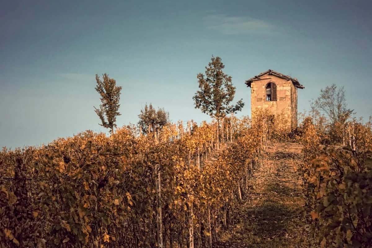 Fotografie e degustazioni: colline Unesco Langhe, Monferrato e Roero