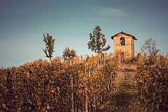 Fotografie e degustazioni: colline Unesco Langhe, Monferrato e Roero