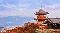 GIAPPONE - Tokyo Storia, Arte e Cultura, tour di 8 giorni