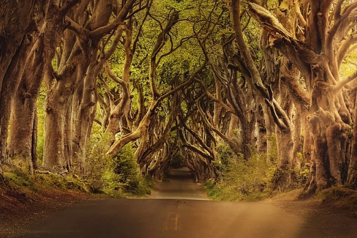 Un viaggio emozionante in Irlanda in auto Lungo la Wild Atlantic Way