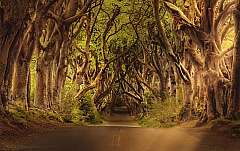Un viaggio emozionante in Irlanda in auto Lungo la Wild Atlantic Way