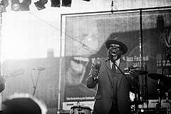 American Music road: Stati Uniti tour guidato sulle tracce del blues..