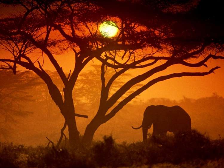 Magico Kenya. Safari +mare. Viaggio con guida e autista (A)