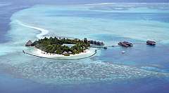 Viaggio di Nozze alle Maldive! Un ricordo unico ed indimenticabile!