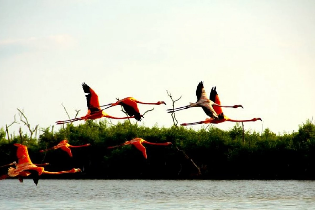 Offerta per gli amanti del Self-Drive!!  Yucatan & Chiapas in Libertà