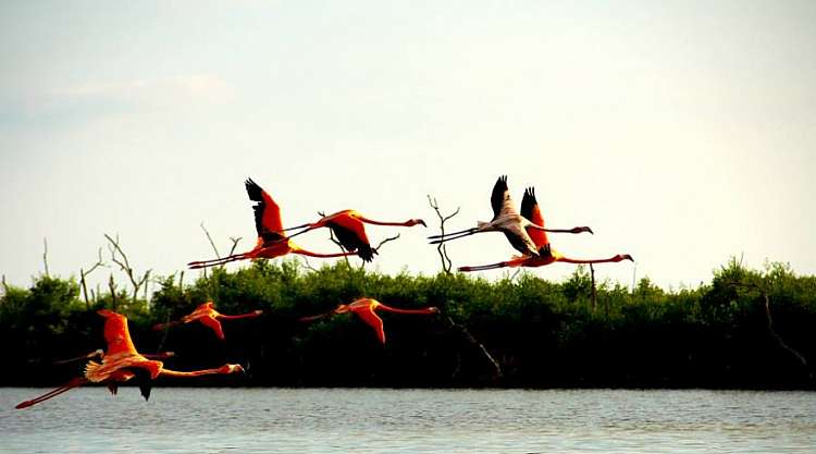 Offerta per gli amanti del Self-Drive!! Yucatan & Chiapas in Libertà