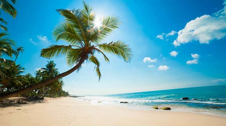 Sri Lanka Classico e Isole Maldive un tour di 12 giorni