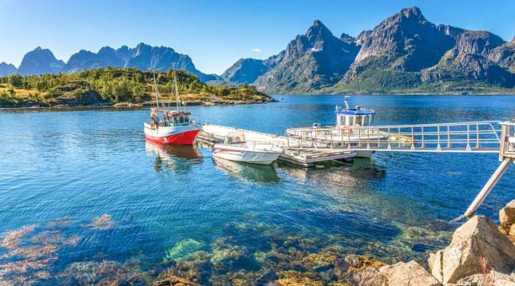Fiordi Lofoten e Sole di Mezzanotte: tour di gruppo in Italiano