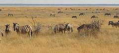 La Splendida Namibia. SCONTO SPECIALE. Prenotazione on line.