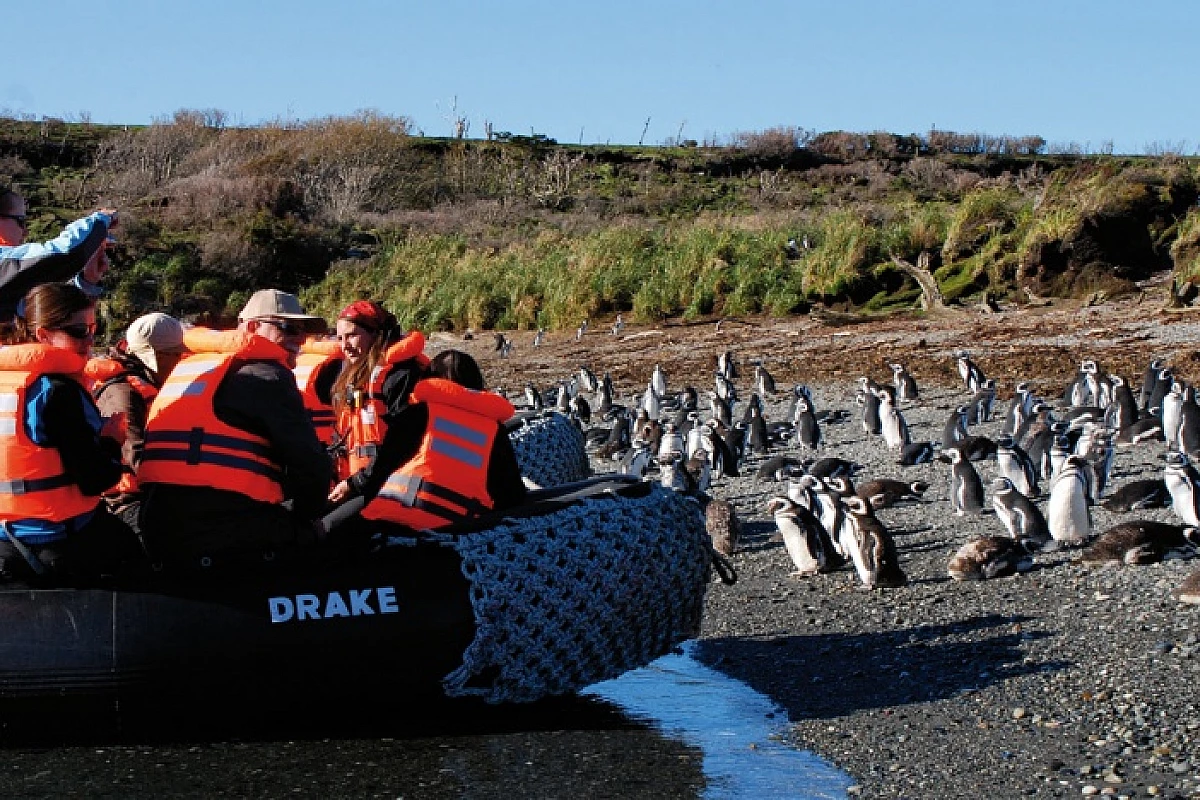 Tour Smart Patagonia.. camminando tra Pinguini e ammirando i Ghiacciai