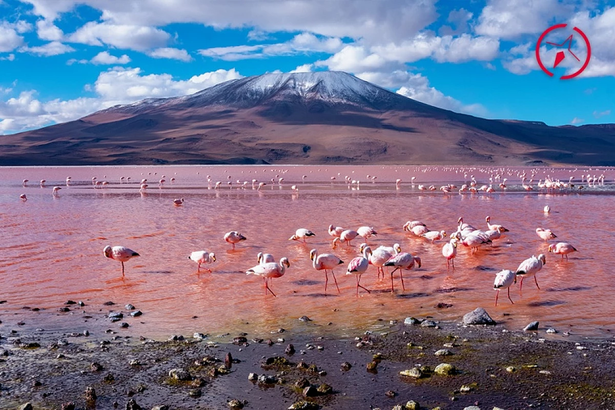 Avventuroso tour in Cile, Bolivia e Argentina alla scoperta delle Ande