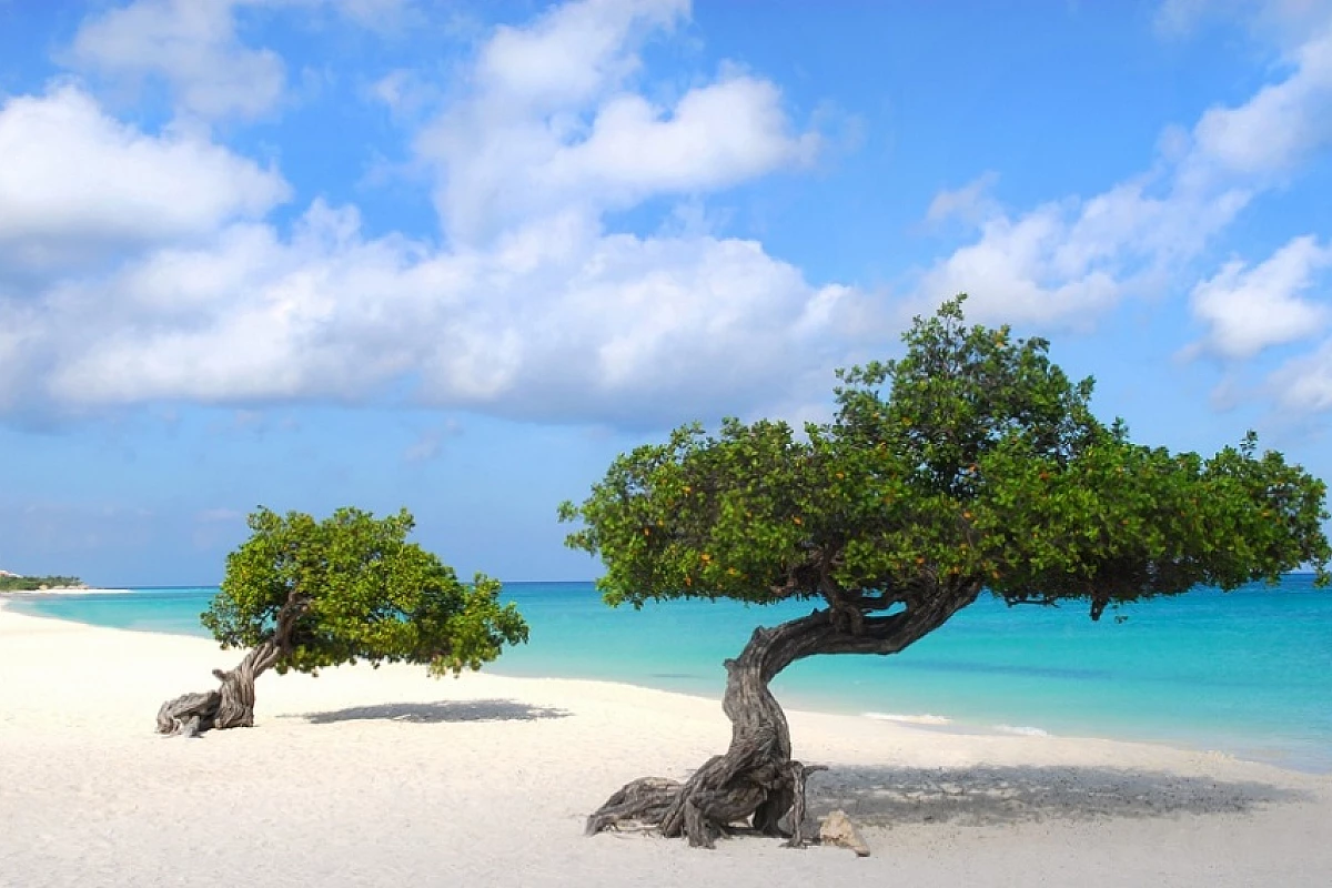 Ai Caraibi tutto l'anno! Soggiorno su 3 isole nelle Antille Olandesi!