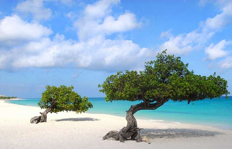 Ai Caraibi tutto l'anno! Soggiorno su 3 isole nelle Antille Olandesi!